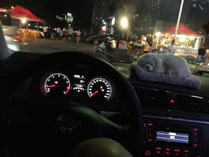 汽车地板油多少转